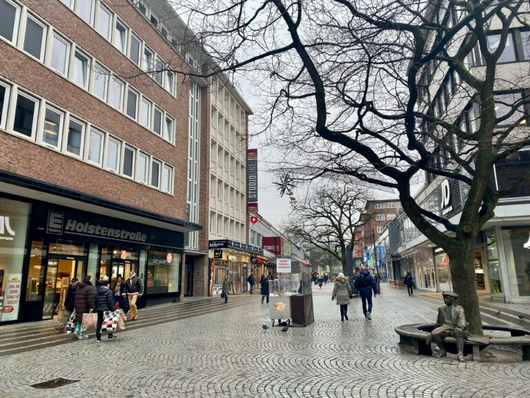 Rede von Arne Stenger in der Ratsversammlung: „Zukunftsfähigkeit der Holstenstraße“