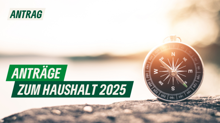 Antrag: Anträge zum Haushalt 2025