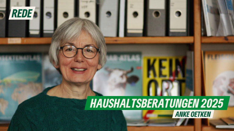 Rede zu den Haushaltsberatungen 2025 von Anke Oetken