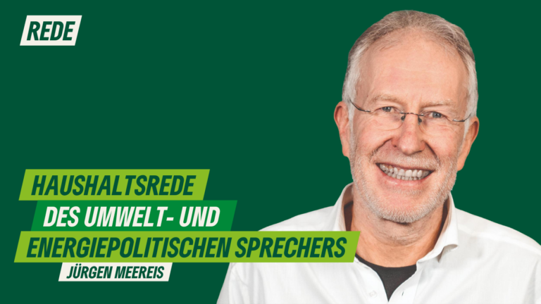 Haushaltsrede des umwelt- und energiepolitischen Sprechers Jürgen Meereis