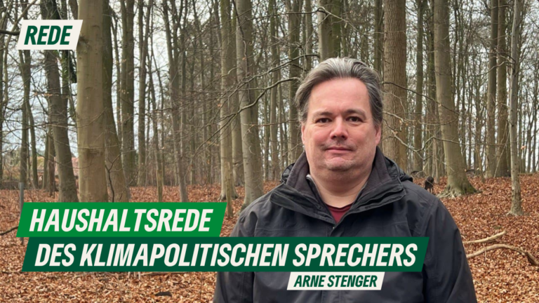 Haushaltsrede des klimapolitischen Sprechers Arne Stenger