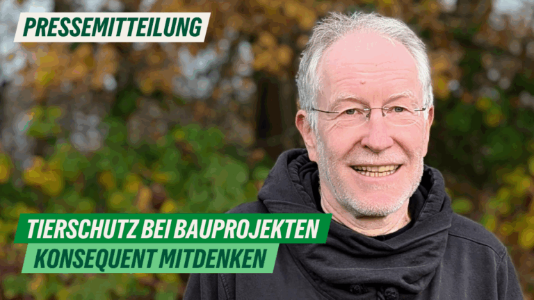 Presse: Tierschutz bei Bauprojekten konsequent mitdenken