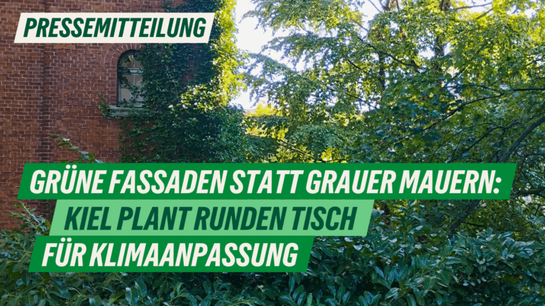 Presse: Grüne Fassaden statt grauer Mauern – Kiel plant Runden Tisch für Klimaanpassung