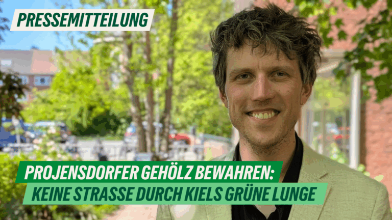 Presse: Projensdorfer Gehölz – keine Straße durch Kiels grüne Lunge