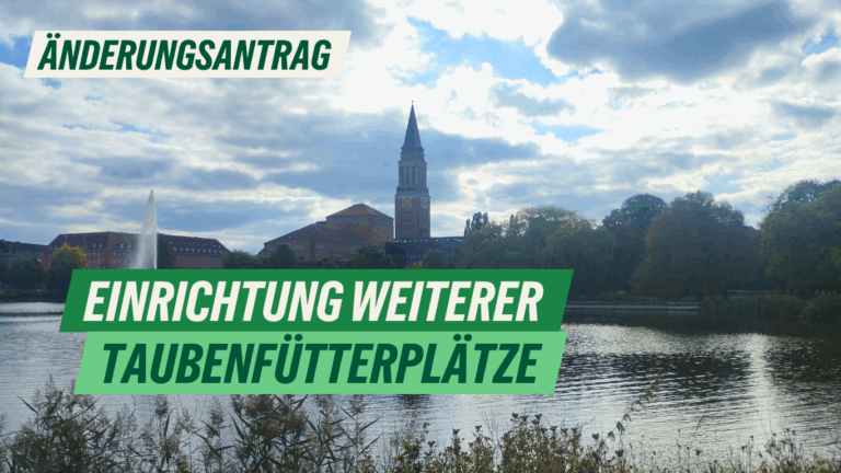 Änderungsantrag: Einrichtung weiterer Taubenfütterplätze