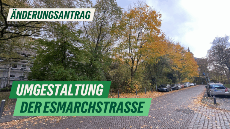 Änderungsantrag: Umgestaltung der Esmarchstraße