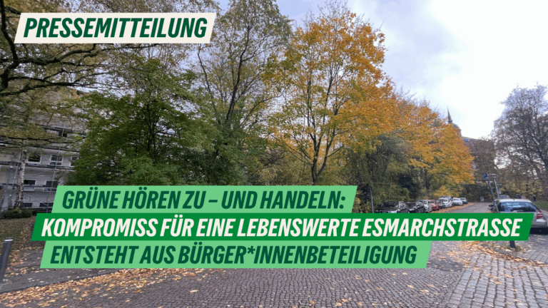 Presse: Grüne hören zu – und handeln: Kompromiss für eine lebenswerte Esmarchstraße entsteht aus Bürger*innenbeteiligung
