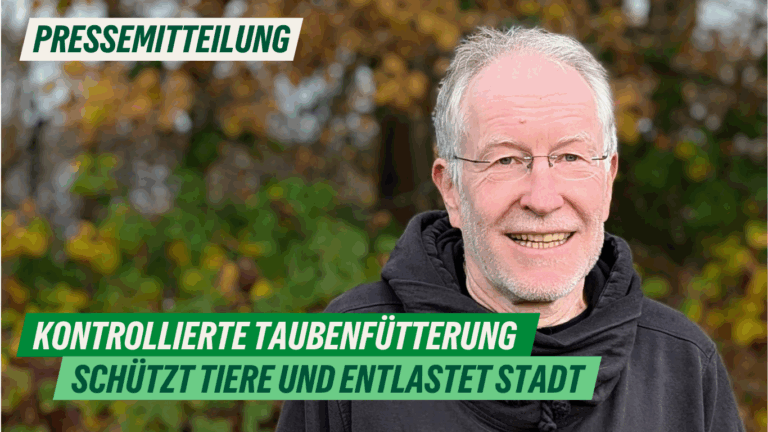 Presse: Kontrollierte Taubenfütterung schützt Tiere und entlastet Stadt