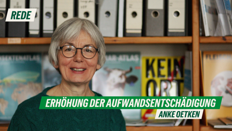 Rede zur Erhöhung der Aufwandsentschädigung von Anke Oetken