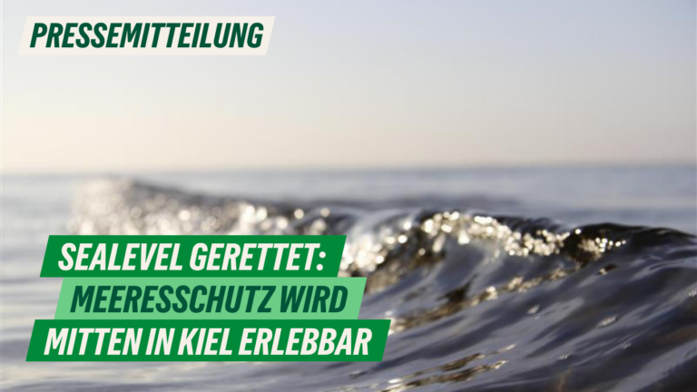 Presse: „Sealevel“ gerettet: Meeresschutz wird mitten in Kiel erlebbar