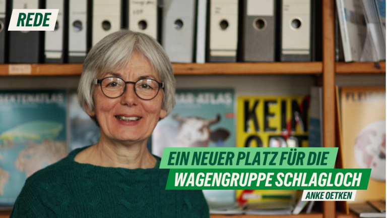 Rede zu einem neuen Platz für die Wagengruppe Schlagloch von Anke Oetken