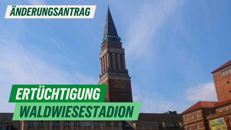 Änderungsantrag: Ertüchtigung Waldwiesenstadion