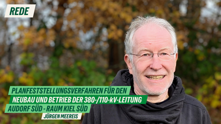 Rede zum Antrag „Stellungnahme der Landeshauptstadt Kiel zum Planfeststellungsverfahren für den Neubau und Betrieb der 380-/110-kV-Leitung Audorf Süd – Raum Kiel Süd“ von Jürgen Meereis