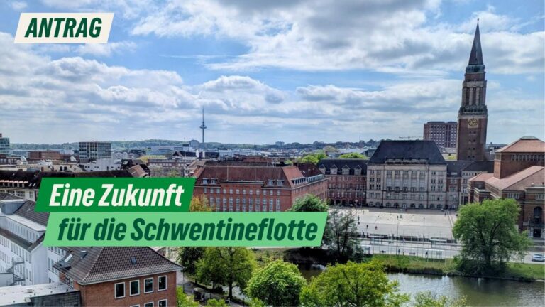 Änderungsantrag: Eine Zukunft für die Schwentineflotte