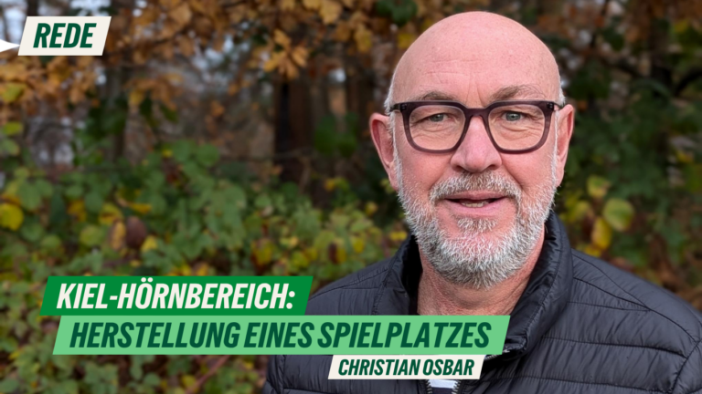 Rede zur Herstellung eines Spielplatzes im Hörnbereich von Christian Osbar