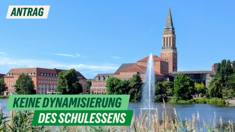 Antrag: Keine Dynamisierung des Schulessens