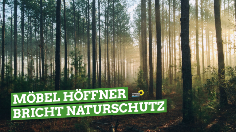 Bündnis 90 / Die Grünen Kiel kommentiert die Abholzung der Ausgleichsflächen bei Möbel Höffner