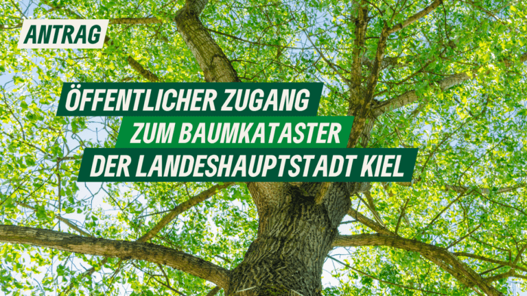 Antrag: Öffentlicher Zugang zum Baumkataster der Landeshauptstadt Kiel