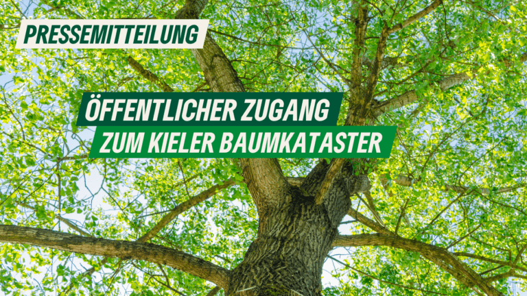 Pressemitteilung: Öffentlicher Zugang zum Kieler Baumkataster